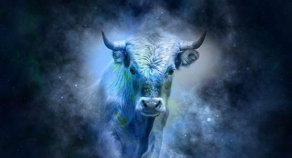 taurus